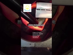 ホットプレスオイルプレス機用キンジヤング種子ロースター