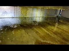 冷凍圧縮された米の油