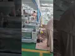 チリオイルプレス機