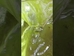 紫陽花油プレス機