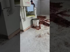 プレス・クール・オイル・マシン